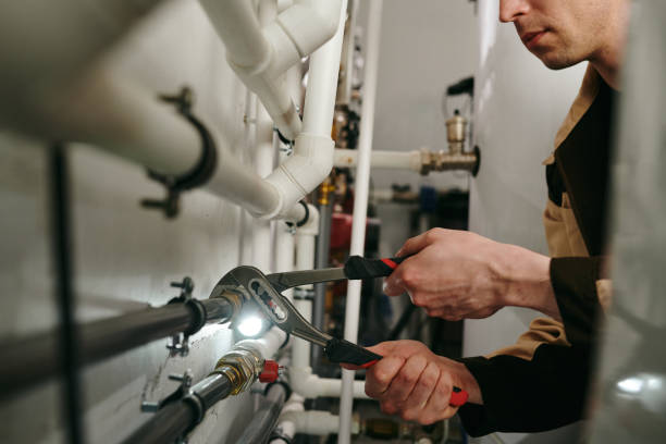 Best Local Plumber Services  in Bardmoor, FL