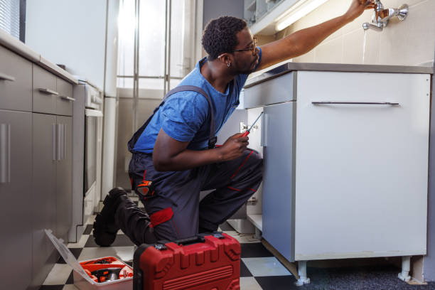 Best Commercial Plumbing Services  in Bardmoor, FL